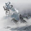 建安汇用户头像