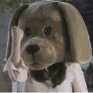 Profile picture of 哇哈哈矿泉水