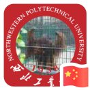 張鵬