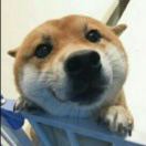 胖子