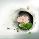 可樂(lè)