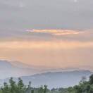 本地农产品代办