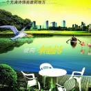 樊先生的头像