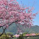 静芬