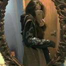 FannJy