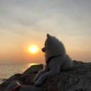 浅蓝色的头像-创薯资源