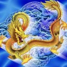 何女士的头像