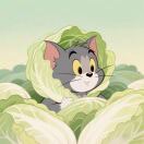 公有云小阳（GPU算力- Ai大模型）