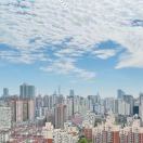 Ricky Wei的头像-熵减岛