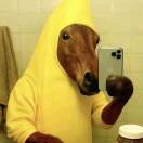 交笔友:安徽省-合肥市 2002-10-20  女