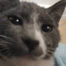 【交笔友】Ting婷