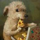 每天至少八杯水的头像-音创社AI SonoCraft丨科技改变未来