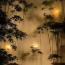 棠竹的头像-拟人圈