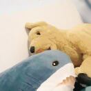 YI Y.的头像-熵减岛