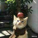 life_photo_3