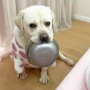 用户75954441的头像-风行者社区