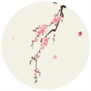 xmdms的头像-梦楠分享