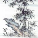 BambooStone's Avatar