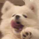 冬眠的头像