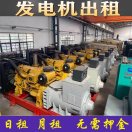 專業(yè)的發(fā)電機(jī)銷售出租廠家
