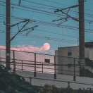 谢双