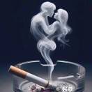 汇源鲜果15881213444