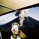 d510ccd5fd86ea4e753881ddb5bee0852930