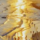 至诚生的头像-六耳AI智能体