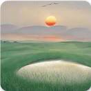 月亮-陈慧娴-朱珠