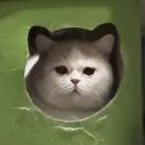 用户94254990的头像-数字折叠