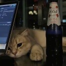 用户42231583的头像-知创网