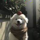 亦十三