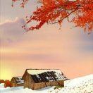 wx_二木51