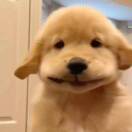 叁仟金的头像-音创社AI SonoCraft丨科技改变未来