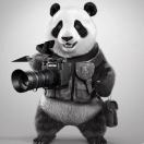 MANDING·漫丁主理阿城