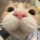 用户25507752的头像-梦马考研