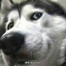 wx_。。。48