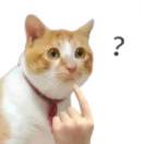 ひな