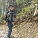 涵bibi的头像-海豚优课