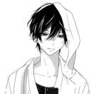 creator的头像-WordPress主题模板-zibll子比主题