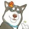 一八一二序曲31605