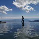 雅佳的头像-风行者社区