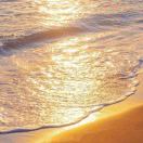 HeartyEnglish🧸ྀི