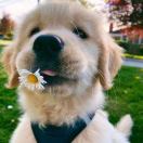 冯岩的头像-博士钣金 - www.bsbanjin.com