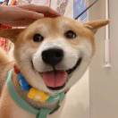 童话