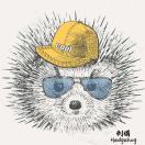 漫智慧机器人?刺猬老师?