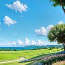 肖肖@芃宸万里的头像-雷恩私塾