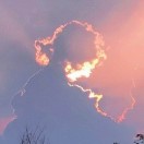 orangeccc的头像_Qpipi
