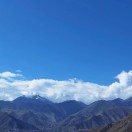 未来已来