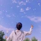 网星